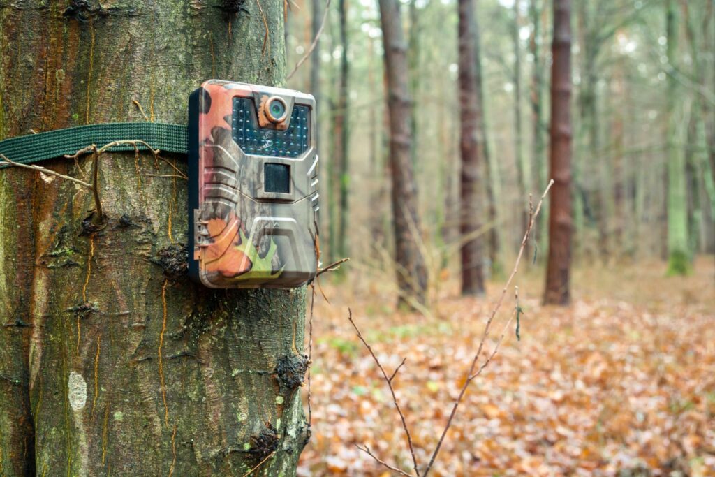 camera de chasse cover